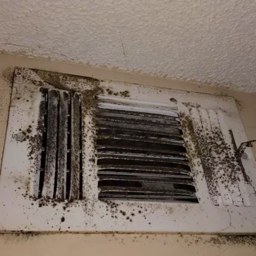 Fukt och mögel i huset ventilation